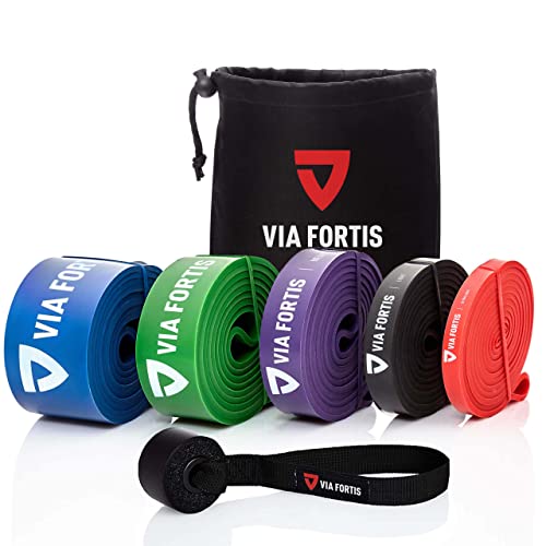 VIA FORTIS Premium Resistance Bands + Übungsanleitung und Tasche - Widerstandsbänder/Klimmzugband und Klimmzughilfe/Fitnessband/Trainings-Bänder für Fitness & Krafttraining