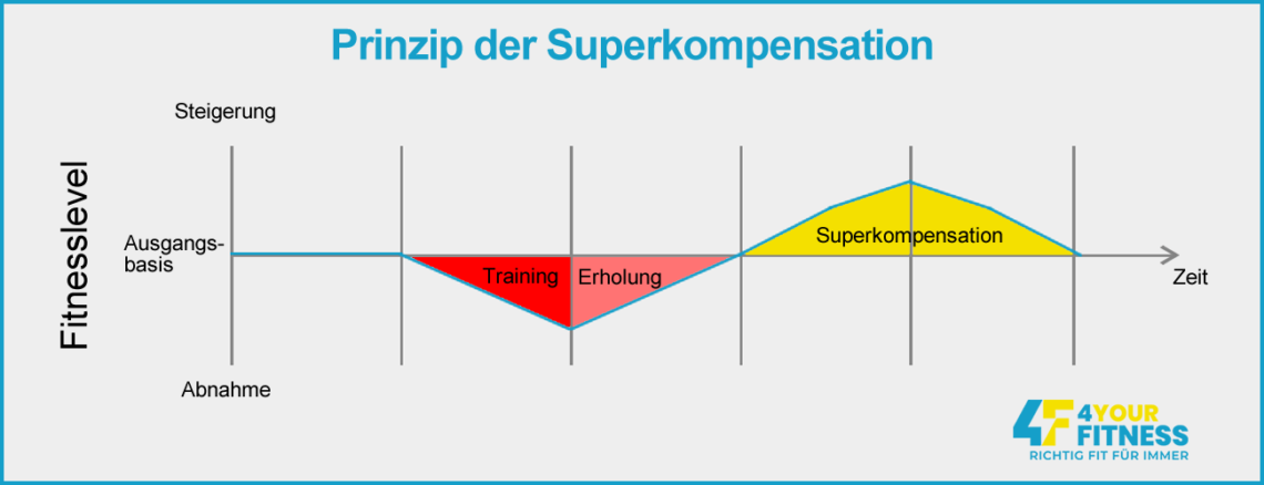 Bessere Muskelregeneration - Das Prinzip der Superkompensation