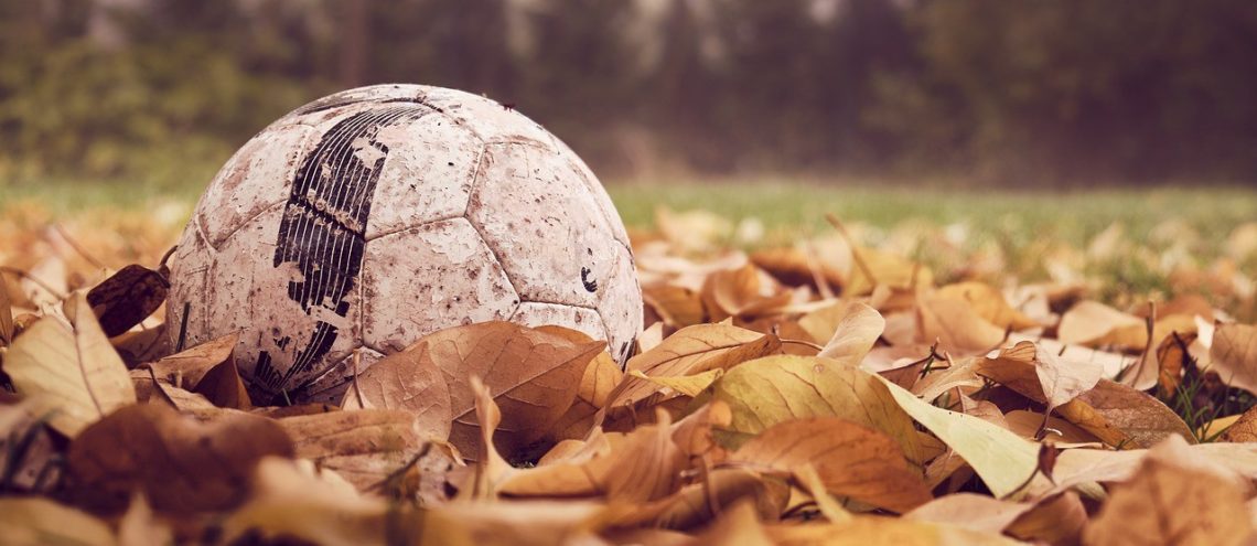 Football, leaves, forest