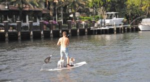 Stand Up Paddling für mutige Zwei- und Vierbeiner, die nicht wasserscheu sind.